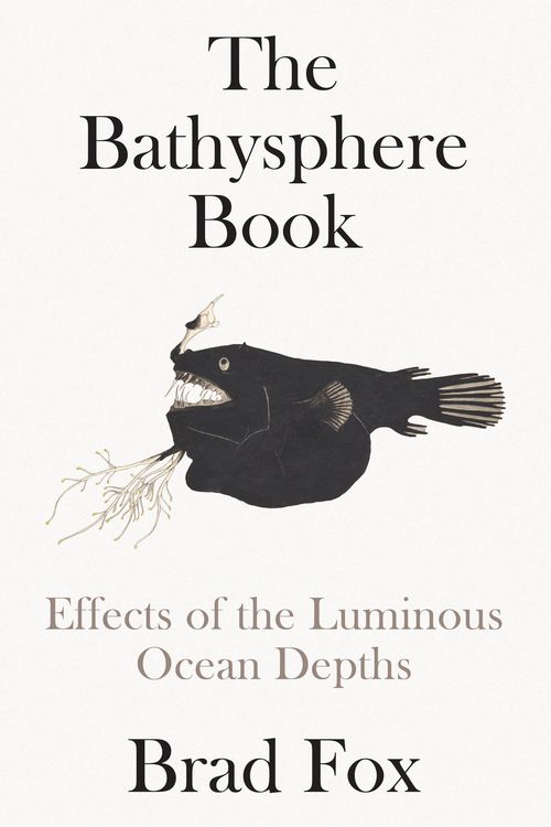 Produktbild: The Bathysphere Book