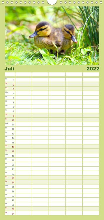 Produktbild: Familienplaner Die lieben Kleinen ... Tierkinder einfach zum Knuddeln (Wandkalender 2022 , 21 cm x 45 cm, hoch)