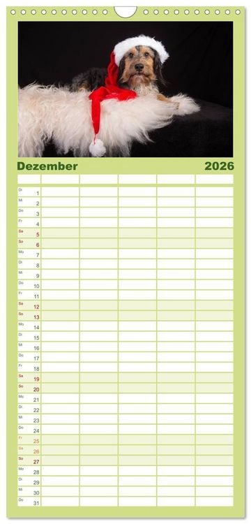 Produktbild: Familienplaner 2026 - DACKEL DACHSHUND TECKEL 2026 mit 5 Spalten (Wandkalender, 21 x 45 cm) CALVENDO