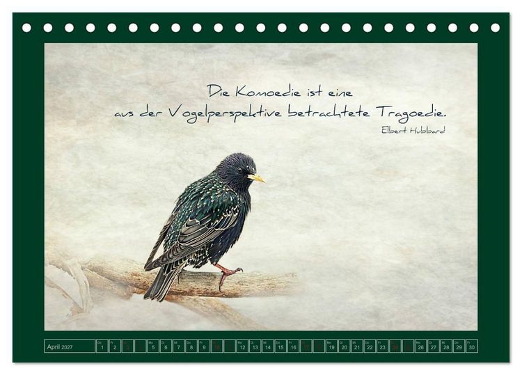 Produktbild: Stare und Weisheiten (Tischkalender 2027 DIN A5 quer), CALVENDO Monatskalender