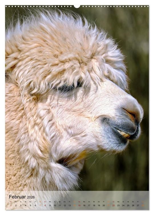Produktbild: Tiere - K&ouml;pfe mit Charakter (hochwertiger Premium Wandkalender 2026 DIN A2 hoch), Kunstdruck in Hochglanz