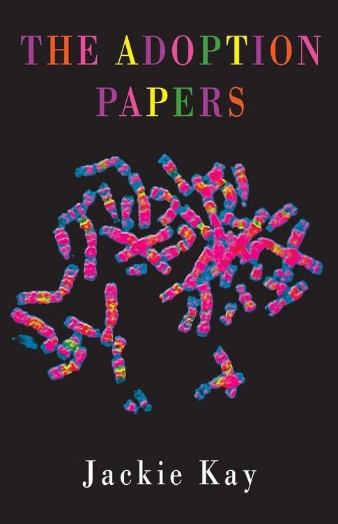 Produktbild: The Adoption Papers