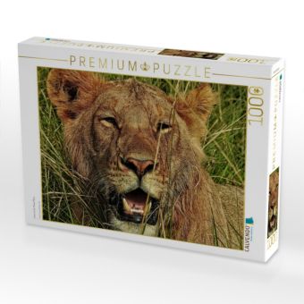 Produktbild: CALVENDO Puzzle L&ouml;we in der Masai Mara | 1000 Teile Lege-Gr&ouml;&szlig;e 64x48cm Foto-Puzzle f&uuml;r gl&uuml;ckliche Stunden