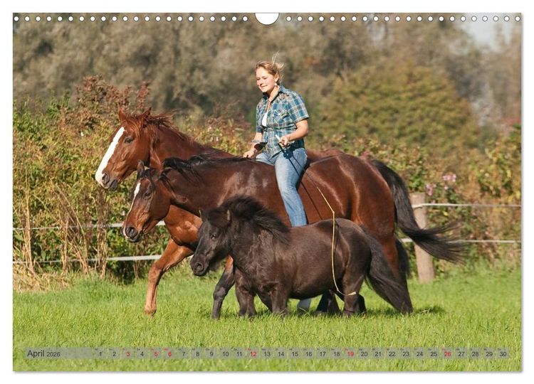 Produktbild: Natural Horsemanship - Partnerschaft mit Pferden (Wandkalender 2026 DIN A3 quer), CALVENDO Monatskalender
