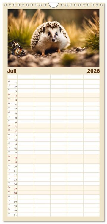 Produktbild: Familienplaner 2026 - Igel - Wildtier des Jahres 2024 mit 5 Spalten (Wandkalender, 21 x 45 cm) CALVENDO