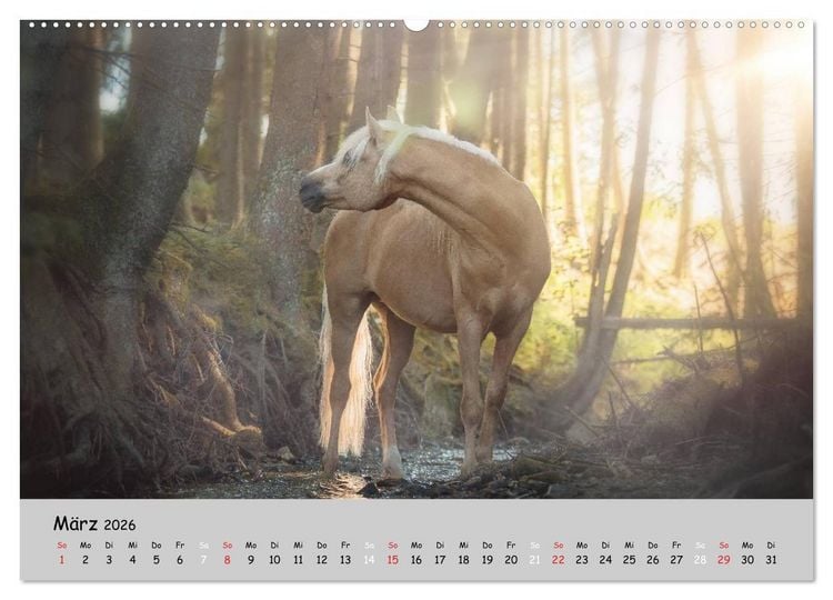 Produktbild: Pferde - Anmut und St&auml;rke gepaart mit Magie (Wandkalender 2026 DIN A2 quer), CALVENDO Monatskalender