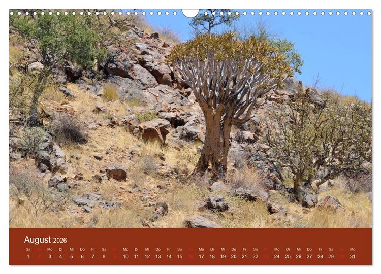 Produktbild: Namibia (Wandkalender 2026 DIN A3 quer), CALVENDO Monatskalender