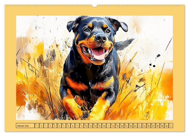 Produktbild: Kraftvolle Rottweiler. Stattliche Begleithunde im Aquarell-Stil (Wandkalender 2026 DIN A2 quer), CALVENDO Monatskalender