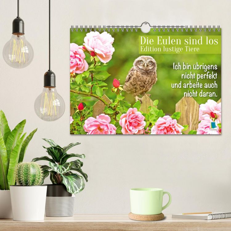 Produktbild: Die Eulen sind los: Edition lustige Tiere (Wandkalender 2026 DIN A4 quer), CALVENDO Monatskalender