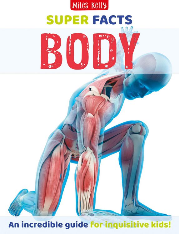 Produktbild: Super Facts Body