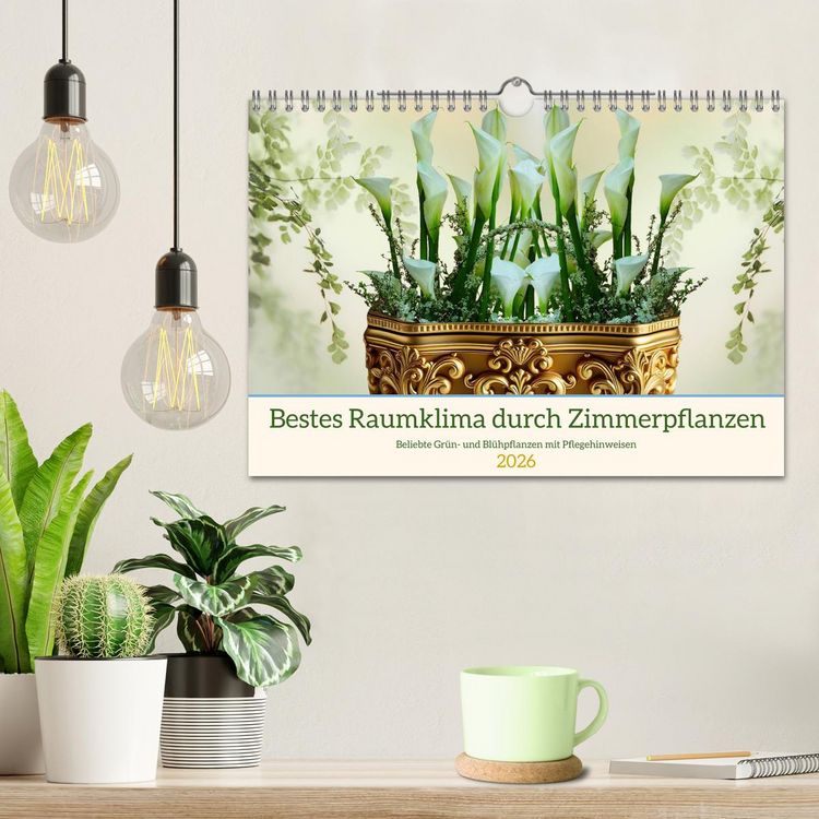 Produktbild: Bestes Raumklima durch Zimmerpflanzen (Wandkalender 2026 DIN A4 quer), CALVENDO Monatskalender