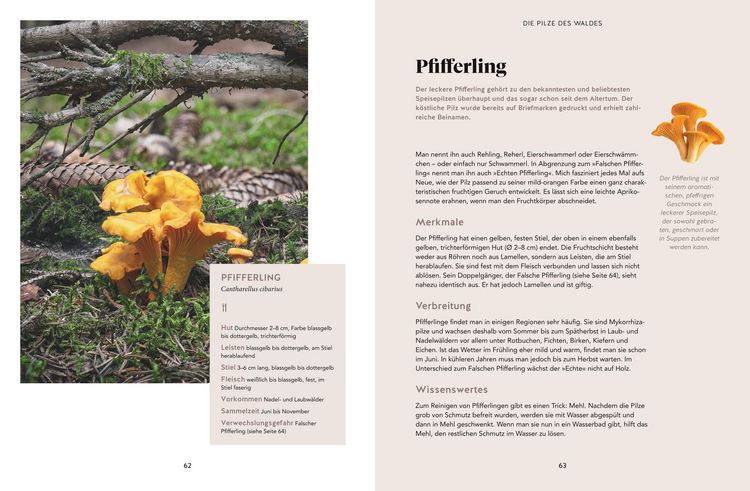 Produktbild: Abenteuer Wald