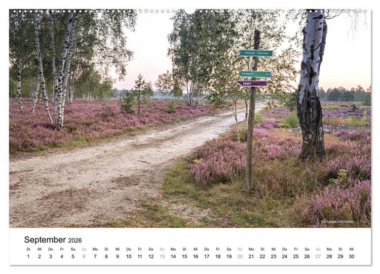 Produktbild: Die Lausitz - Region im Wandel (Wandkalender 2026 DIN A2 quer), CALVENDO Monatskalender
