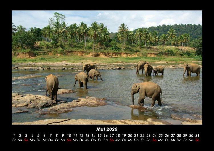 Produktbild: Tierkalender 2026 Fotokalender DIN A3