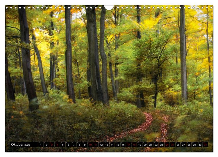 Produktbild: Die Rh&ouml;n (Wandkalender 2026 DIN A3 quer), CALVENDO Monatskalender