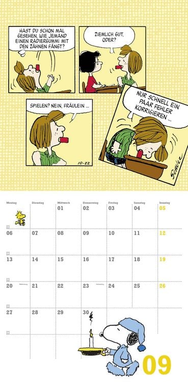 Produktbild: Peanuts Broschurkalender
