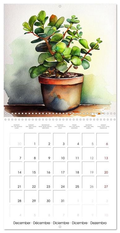 Produktbild: The Art of House Plants (Wall Calendar 2026 12 &times; 12 Inch) CALVENDO 12 Month Wall Calendar