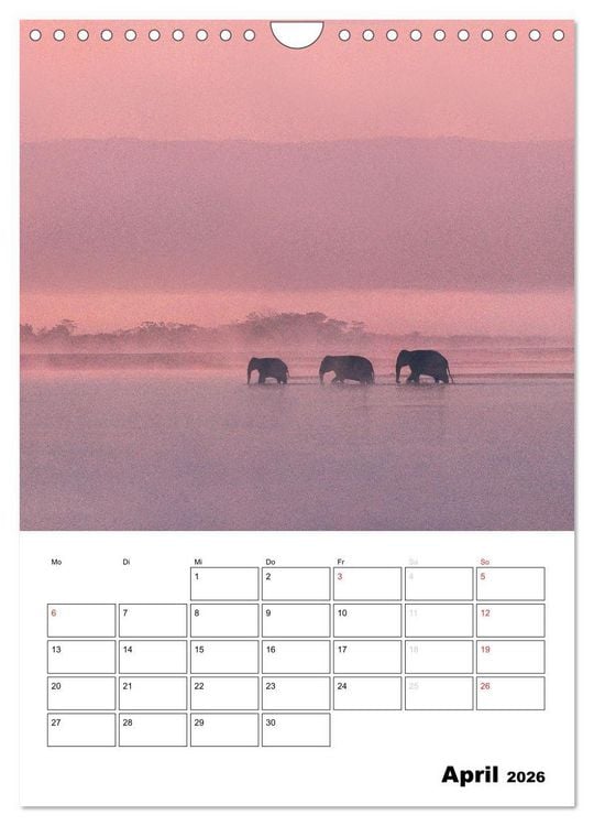 Produktbild: THAILAND - Mein Urlaubsplaner (Wandkalender 2026 DIN A4 hoch), CALVENDO Monatskalender