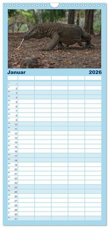 Produktbild: Familienplaner 2026 - Drachen: Geheimnisvolles Tierreich mit 5 Spalten (Wandkalender, 21 x 45 cm) CALVENDO