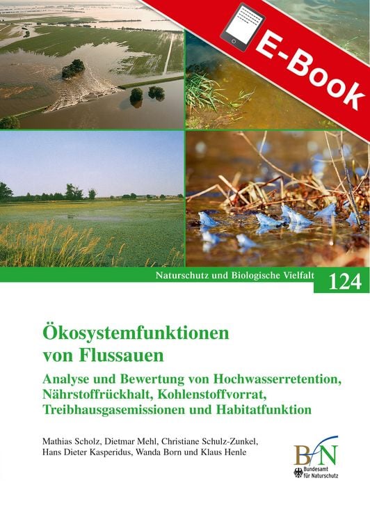 Produktbild: &Ouml;kosystemfunktionen von Flussauen