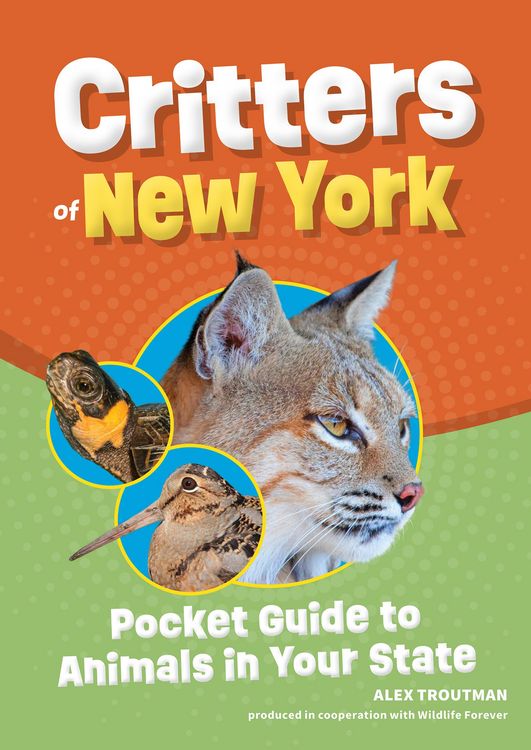 Produktbild: Critters of New York