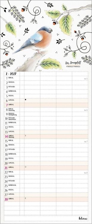 Produktbild: Familienplaner Pretty Birds 2027