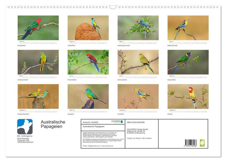 Produktbild: Australische Papageien (Wandkalender 2026 DIN A2 quer), CALVENDO Monatskalender