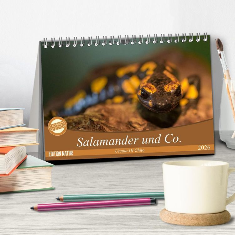 Produktbild: Salamander und Co. (Tischkalender 2026 DIN A5 quer), CALVENDO Monatskalender