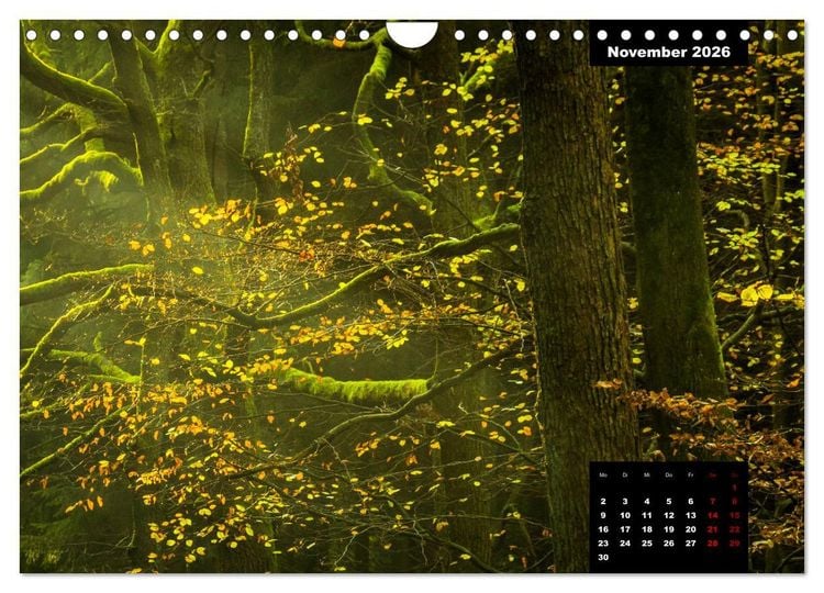 Produktbild: Malerisches Sauerland (Wandkalender 2026 DIN A4 quer), CALVENDO Monatskalender