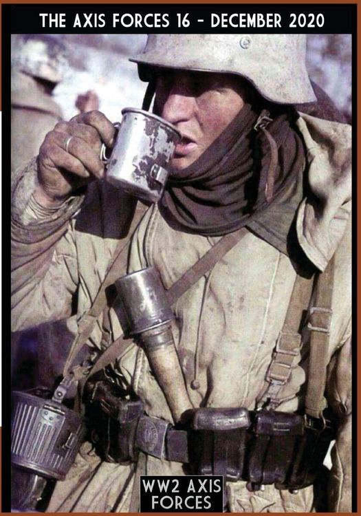 Produktbild: The Axis Forces 16