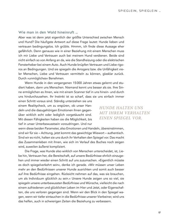 Produktbild: Das Geheimnis der Spiegelung