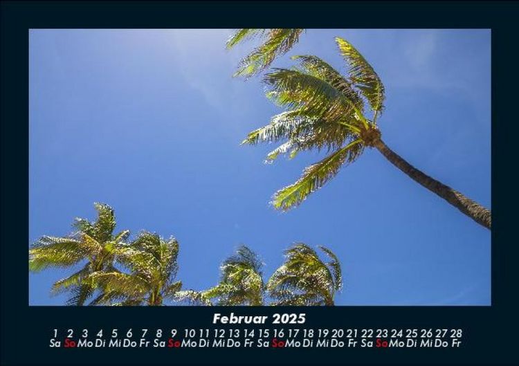Produktbild: Palmentraum 2025 Fotokalender DIN A5
