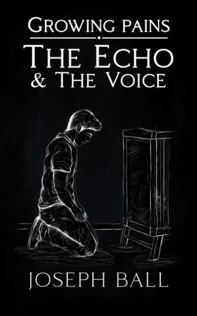 Produktbild: The Echo And The Voice