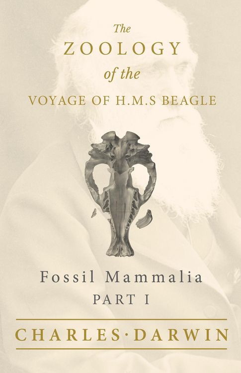 Produktbild: Fossil Mammalia - Part I - The Zoology of the Voyage of H.M.S Beagle