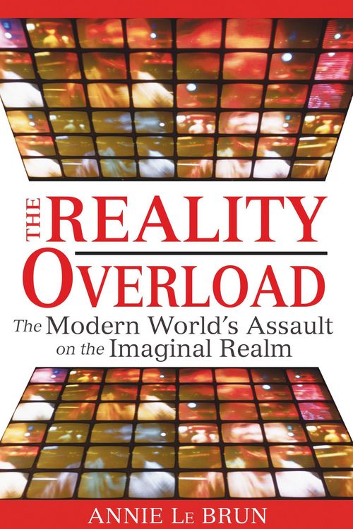 Produktbild: Reality Overload