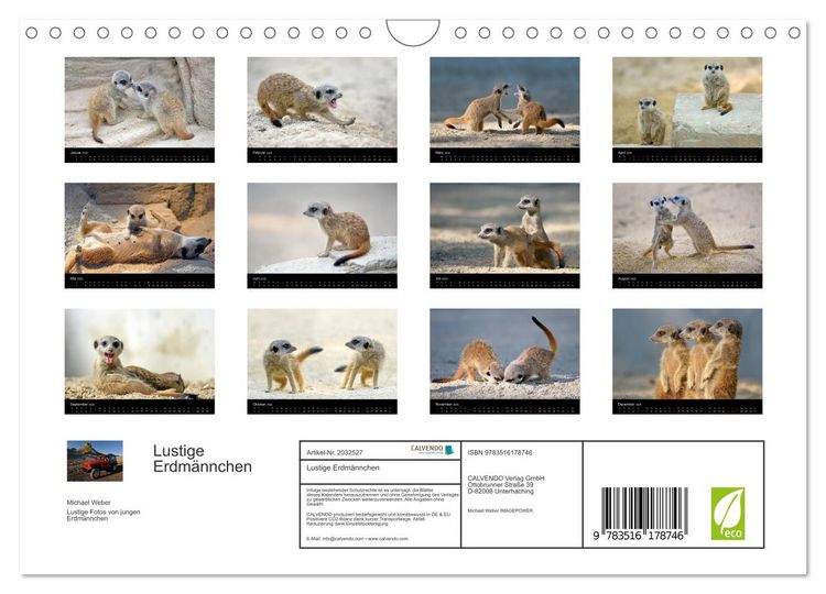 Produktbild: Lustige Erdm&auml;nnchen (Wandkalender 2026 DIN A4 quer), CALVENDO Monatskalender