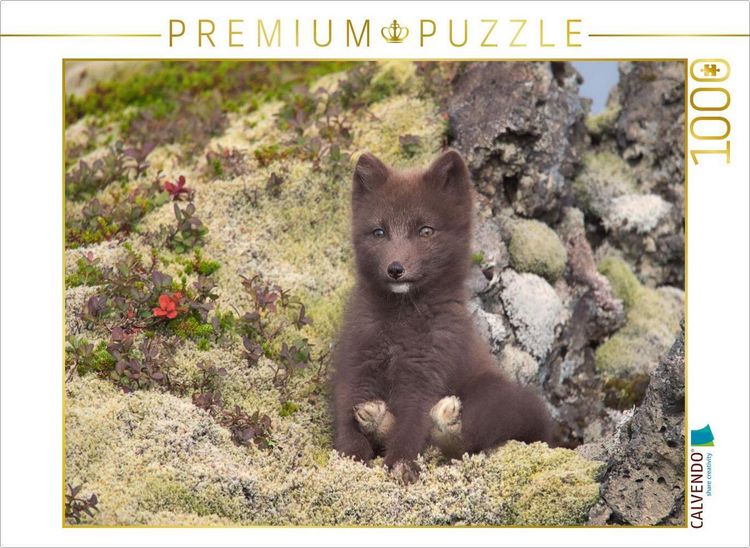 Produktbild: CALVENDO Puzzle Zeigt her eure F&uuml;&szlig;e | 1000 Teile Lege-Gr&ouml;&szlig;e 64x48cm Foto-Puzzle f&uuml;r gl&uuml;ckliche Stunden