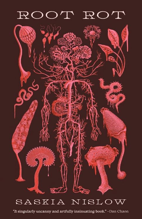 Produktbild: Root Rot