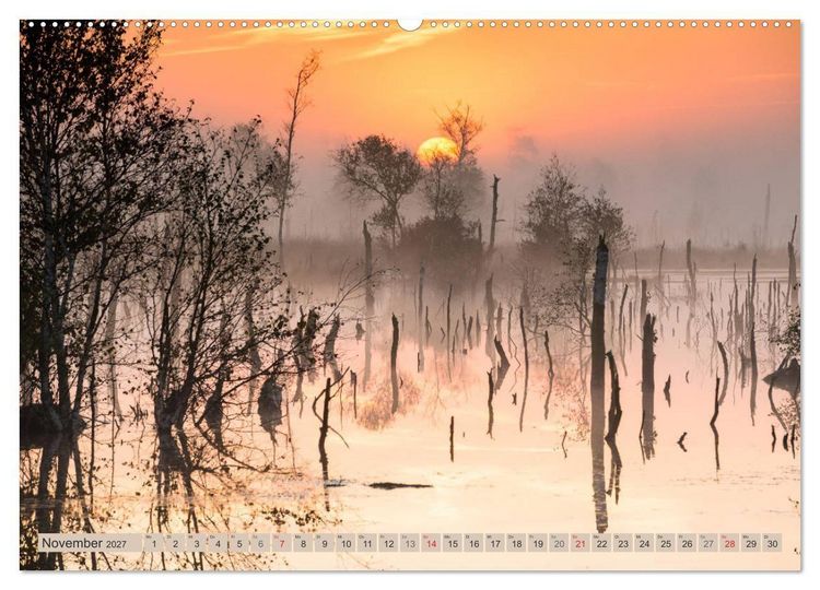 Produktbild: Deutschlands Moore (hochwertiger Premium Wandkalender 2027 DIN A2 quer), Kunstdruck in Hochglanz