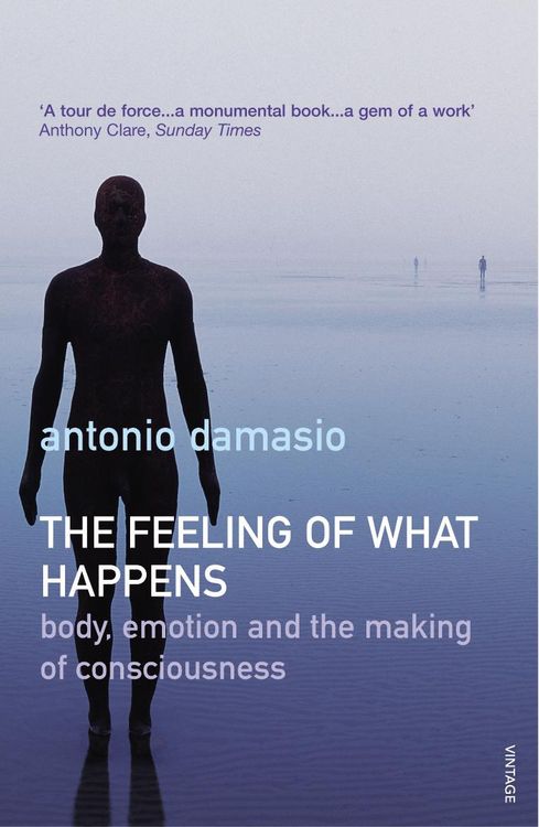 Feeling of What Happens