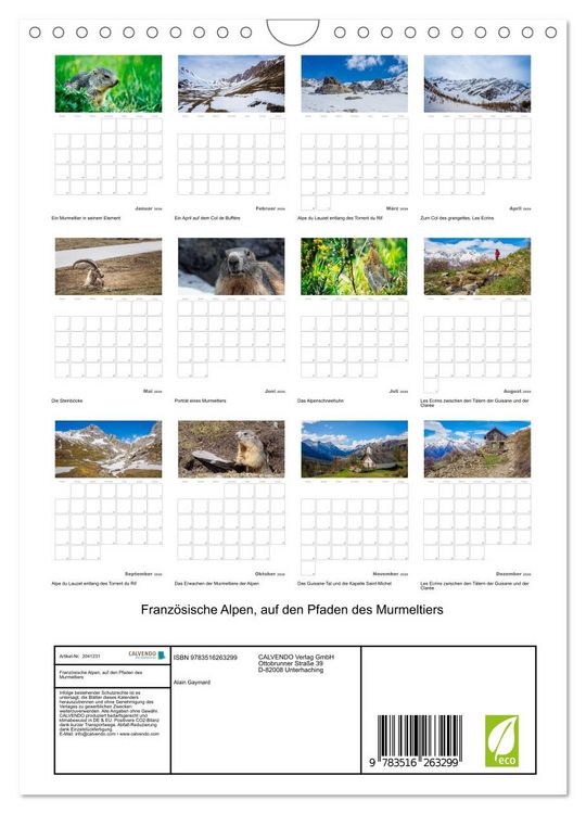 Produktbild: Franz&ouml;sische Alpen, auf den Pfaden des Murmeltiers (Wandkalender 2026 DIN A4 hoch), CALVENDO Monatskalender