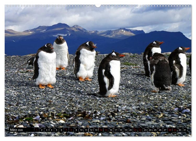 Produktbild: Argentinien - Von Iguazu bis Feuerland (Wandkalender 2026 DIN A2 quer), CALVENDO Monatskalender