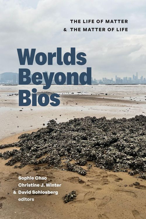 Produktbild: Worlds Beyond Bios