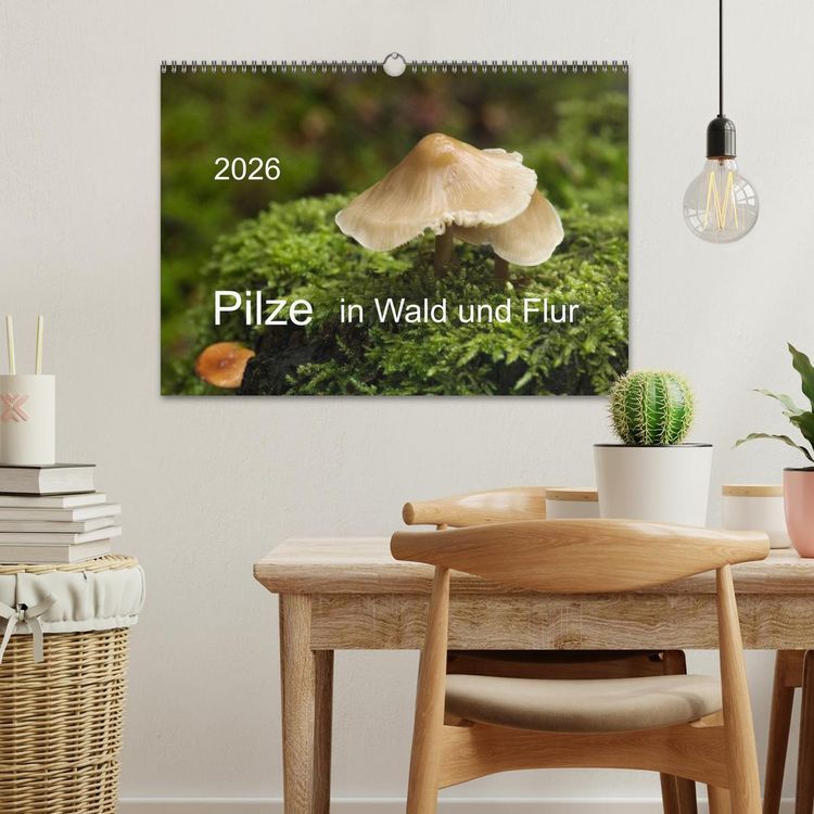Produktbild: Pilze in Wald und Flur (Wandkalender 2026 DIN A3 quer), CALVENDO Monatskalender