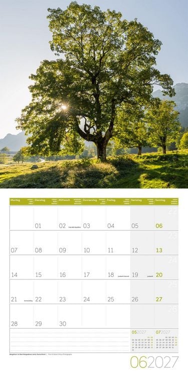 Produktbild: B&auml;ume Kalender 2027 - 30x30 - Art12