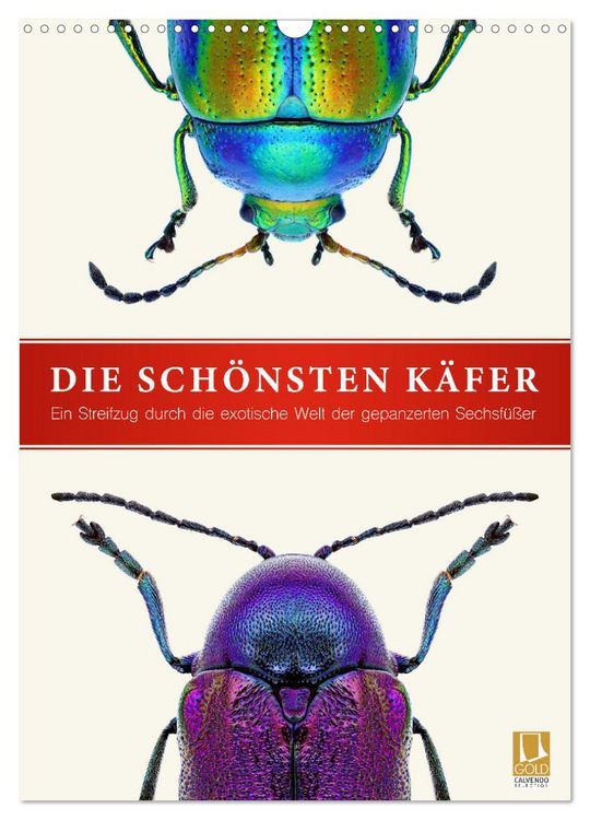 Produktbild: Die sch&ouml;nsten K&auml;fer (Wandkalender 2026 DIN A3 hoch), CALVENDO Monatskalender
