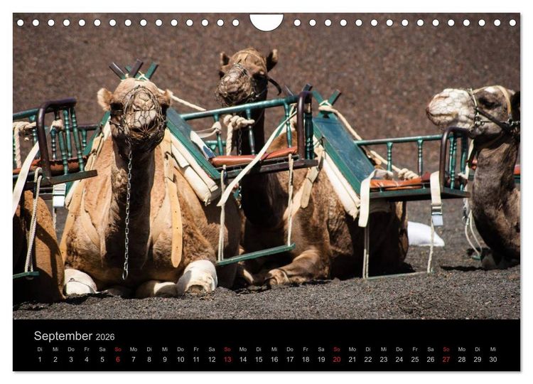 Produktbild: Unterwegs auf Lanzarote (Wandkalender 2026 DIN A4 quer), CALVENDO Monatskalender