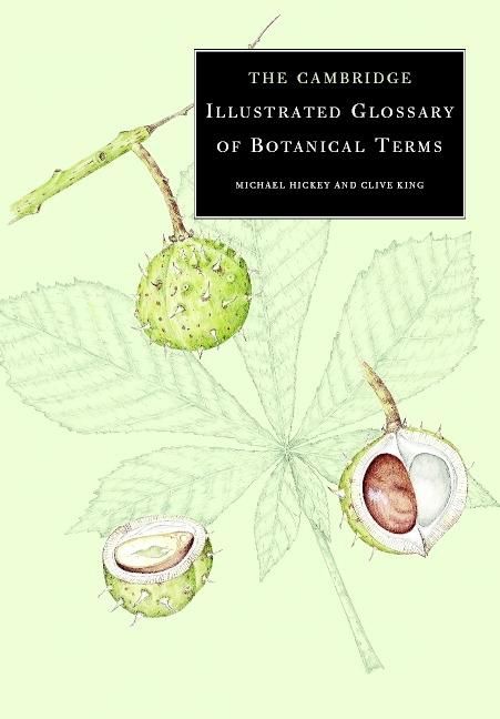 Produktbild: Cambridge Illustrated Glossary of Botanical Terms