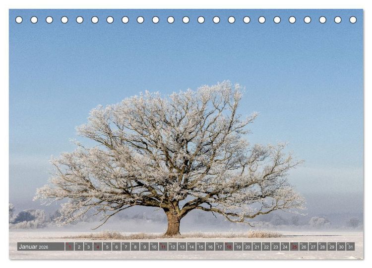 Produktbild: Naturlandschaft Elbe - Im Wechsel der Jahreszeiten (Tischkalender 2026 DIN A5 quer), CALVENDO Monatskalender