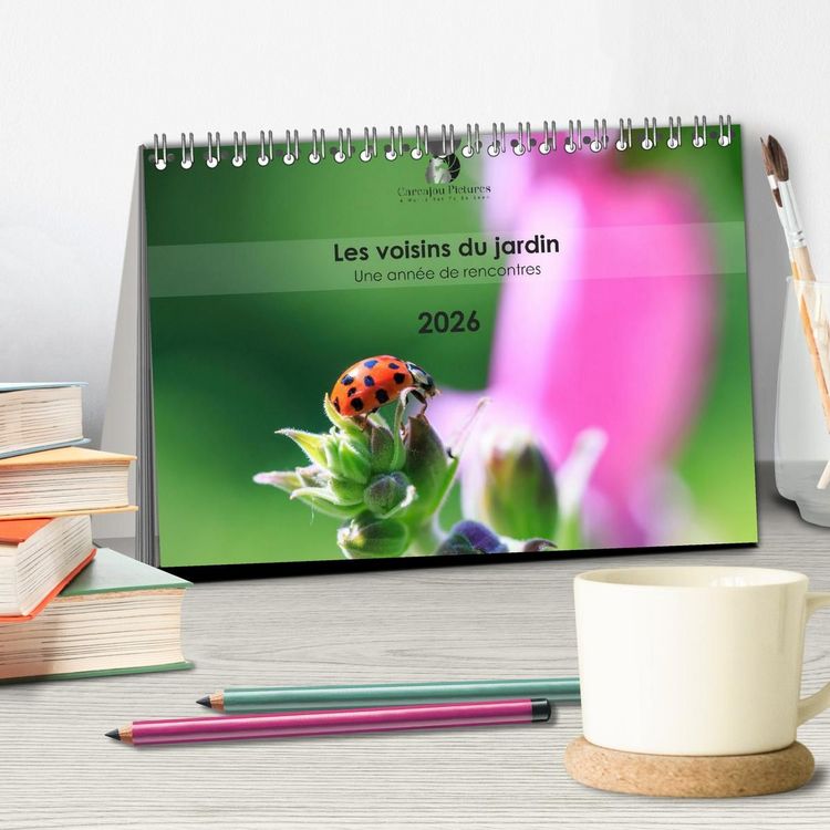 Produktbild: Les voisins du jardin - Une ann&eacute;e de rencontres (Calendrier de bureau 2027 DIN A5 vertical), CALVENDO calendrier mensuel